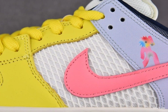 SB Schipani Xavier Be Pro Dunk Nike True DX5933-900 Low 1221